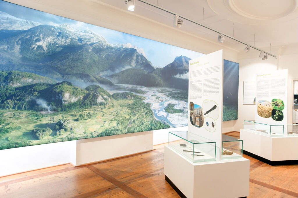 Ausstellungsraum Bronzezeit Museum Burg Golling Sonderausstellung Bronzezeit im Museum Burg Golling